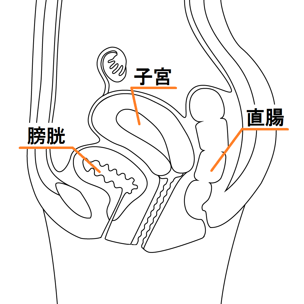 コラム 女性医療クリニックluna